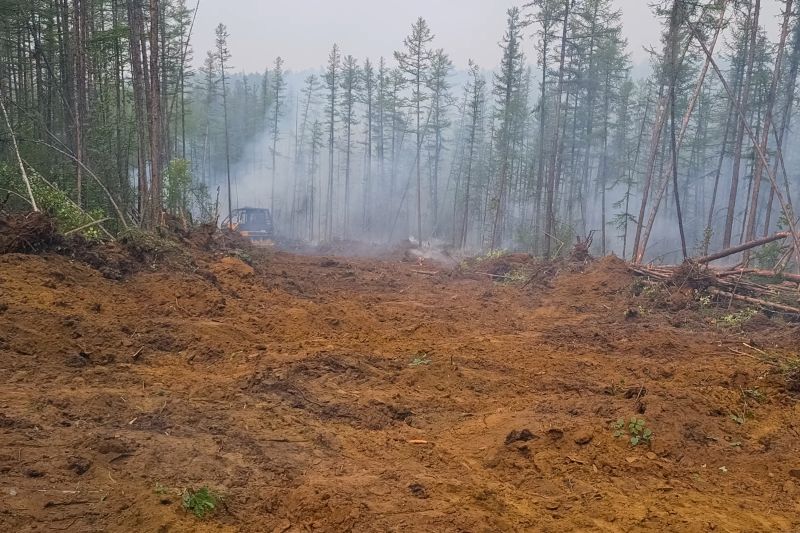 Debris Removal and Disposal