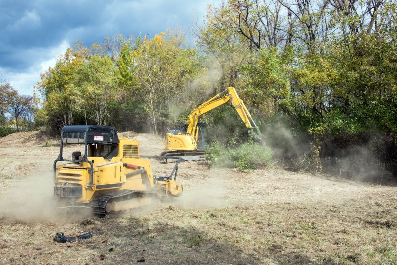 Planning Your Land Clearing Project