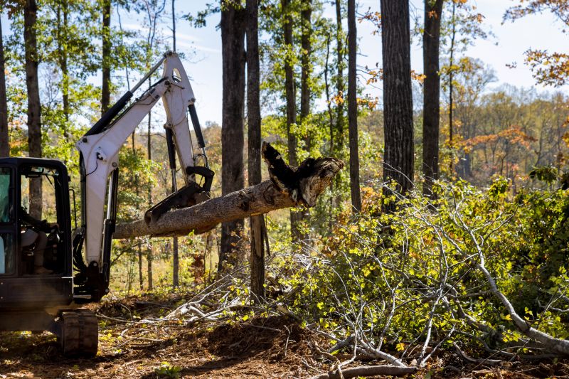 Increase Your Land Clearing Business with an AI Driven, Targeted Website