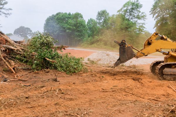 Cost of Ground Clearing in Anaheim