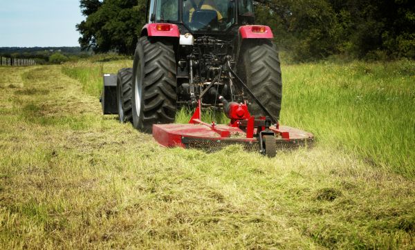 Cost of Brush Clearing Service in Anaheim