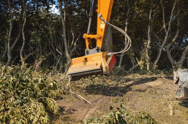 Cost of Brush Removal Service in Anaheim