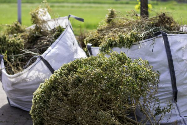Cost of Bushes Clearing in Anaheim