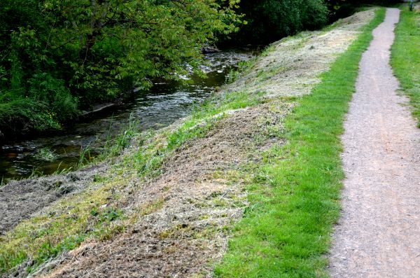 Cost of Trail Cutting in Anaheim